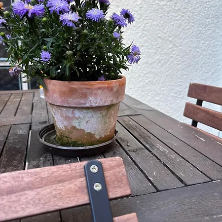 Appartement 0711